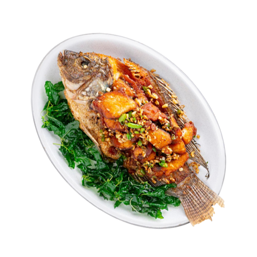 Deep Fried Tilapia with Garlic